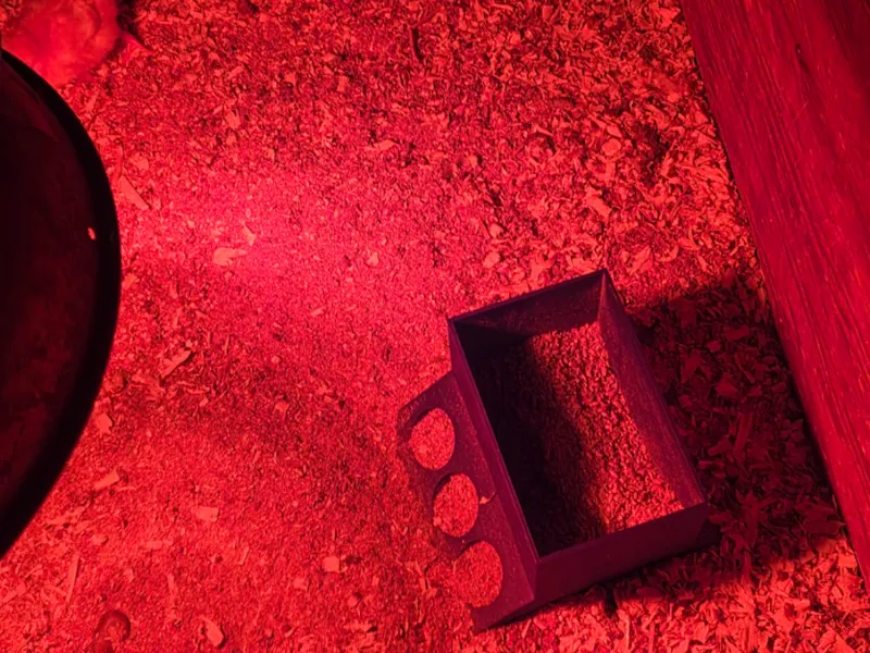 Chick feeder