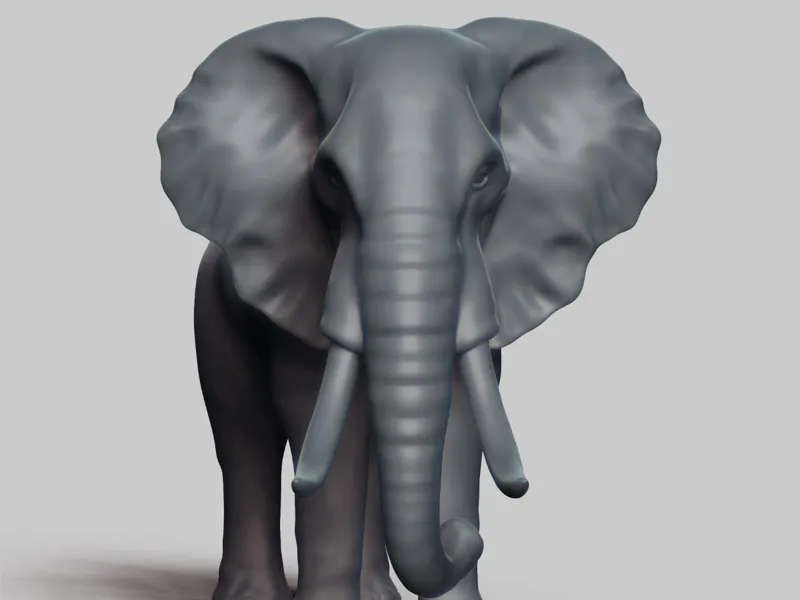 elephant 3d modle