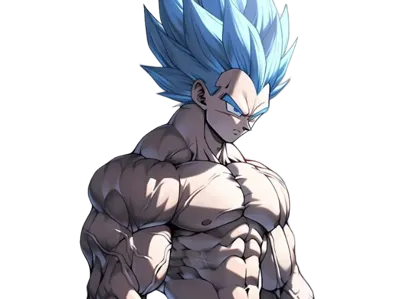 vegeta super gym