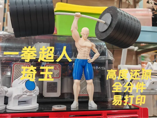 https://makerworld.bblmw.com/makerworld/model/DSM00000001889804/design/2025-10-15_dadc86d36f884.jpg