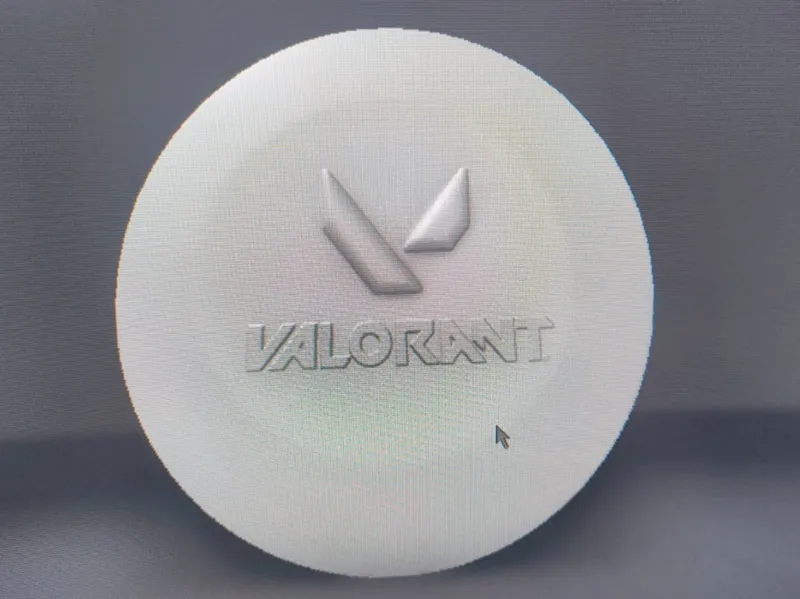 Valorant_Coin