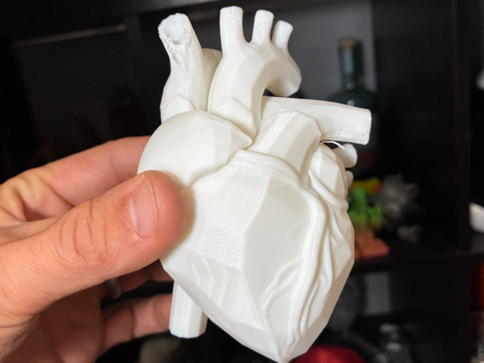 CyberCore Heart – Anatomical Tech Fusion Model