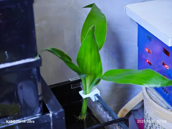 https://makerworld.bblmw.com/makerworld/model/DSM00000001891116/design/2025-10-16_d0e311d884f47.jpg