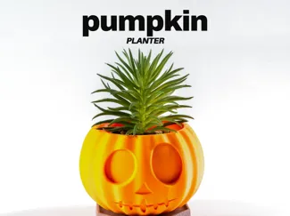 Pumpkin Plant Holder