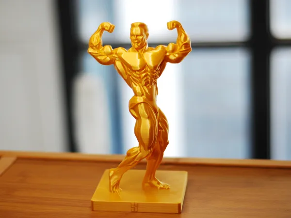 https://makerworld.bblmw.com/makerworld/model/DSM00000001892592/design/2025-10-15_ee9370355d34c.jpg