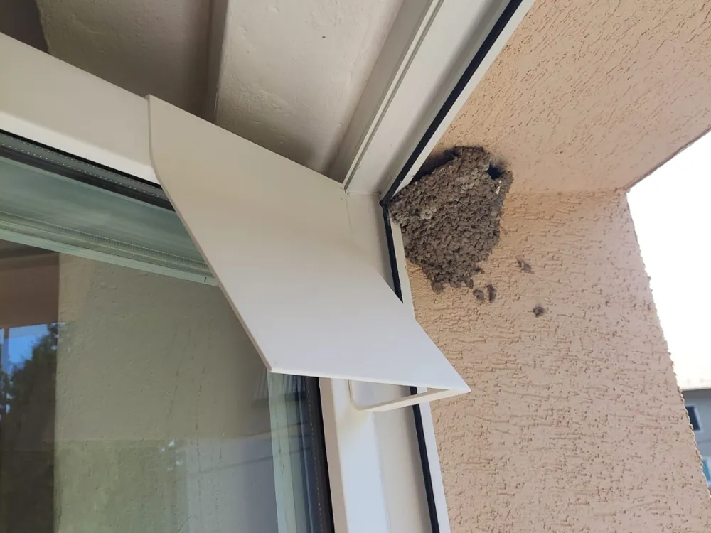 Bird Poop shield - Free 3D Print Model - MakerWorld