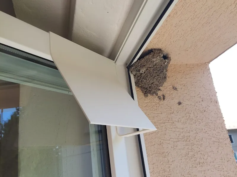 Bird Poop shield