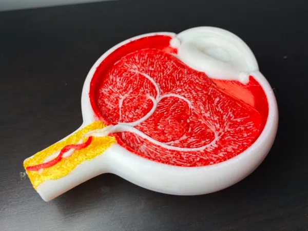 https://makerworld.bblmw.com/makerworld/model/DSM00000001893600/design/49d413a7224d6969.jpeg