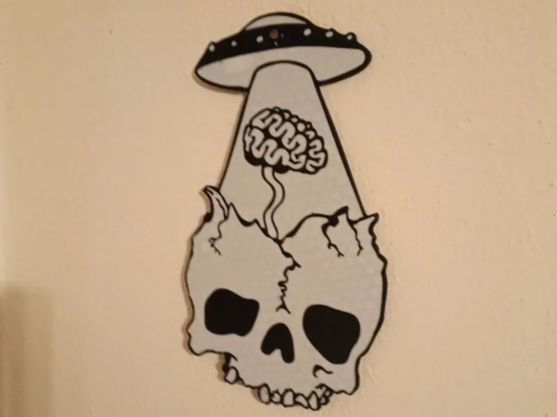Skull Image AMS