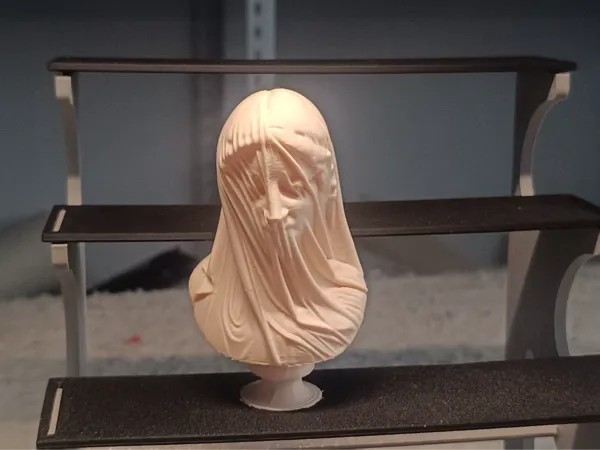 https://makerworld.bblmw.com/makerworld/model/DSM00000001895679/design/2025-10-17_6ace2d6a286398.jpg