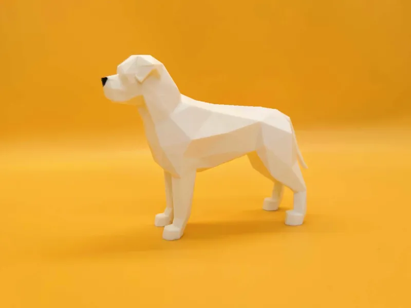 罗威纳犬 威猛忠诚的守护者 