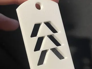 Destiny 2 Hunter Dogtag
