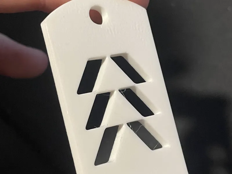Destiny 2 Hunter Dogtag