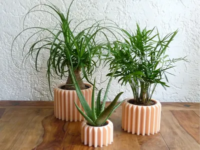 Plant Pots for Indoor Plants Modern Design