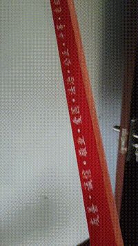 Tang Dao - Blade of Socialism