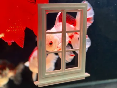 Aquarium decorative small window