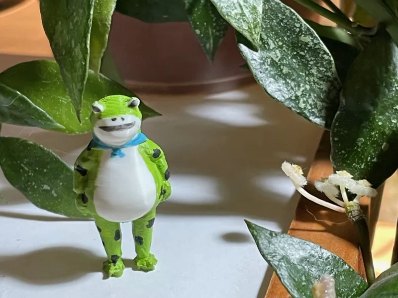 Anti-fascist frog, pocket frog, Portland Frog