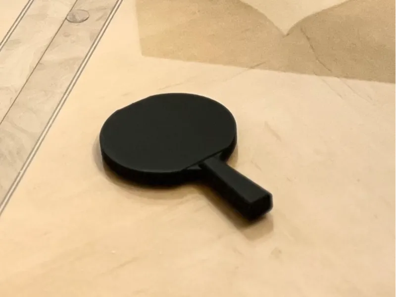 Ping Pong Paddle