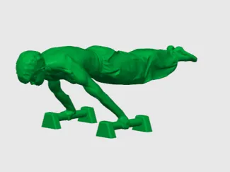Calisthenics planche on parallettes