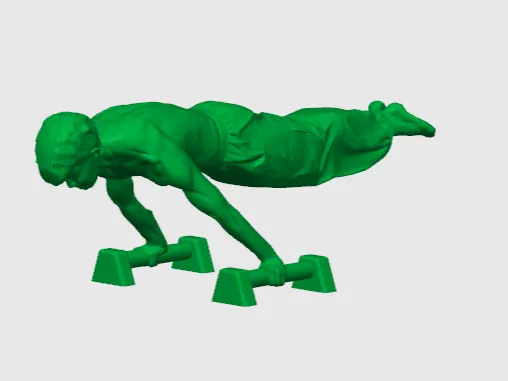 Calisthenics planche on parallettes
