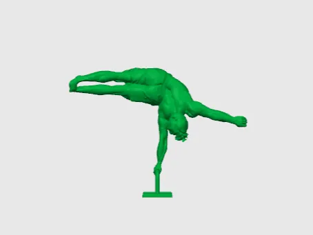 Calisthenics one arm flag