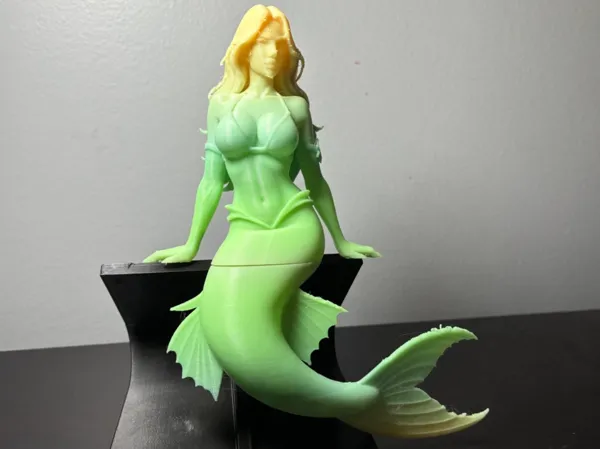 https://makerworld.bblmw.com/makerworld/model/DSM00000001909887/design/f349e9ae31fa7853.jpeg