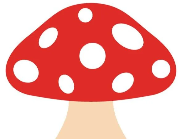 Fábrica de Cogumelos