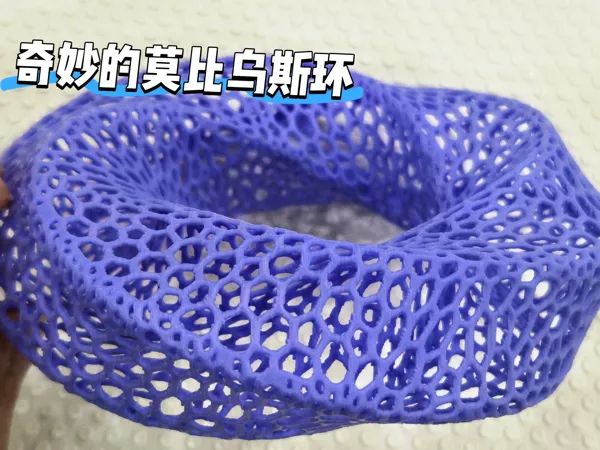 https://makerworld.bblmw.com/makerworld/model/DSM00000001912588/design/2025-10-22_69b33a5302cdb.jpg