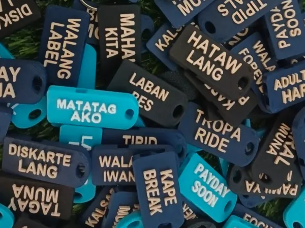 https://makerworld.bblmw.com/makerworld/model/DSM00000001913374/design/2025-10-22_238140a3603928.jpg