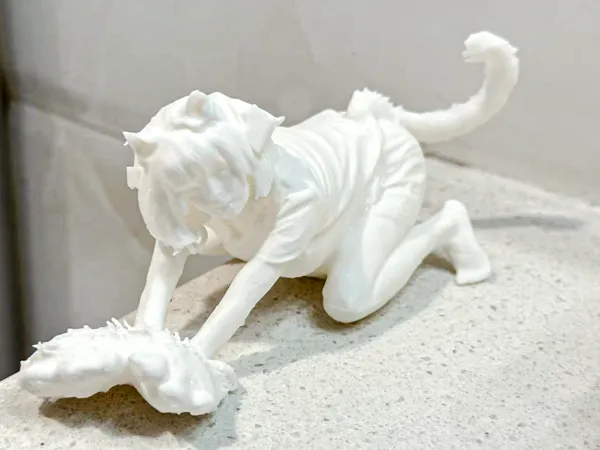 https://makerworld.bblmw.com/makerworld/model/DSM00000001913403/design/2025-10-22_87cc84656708d.jpg