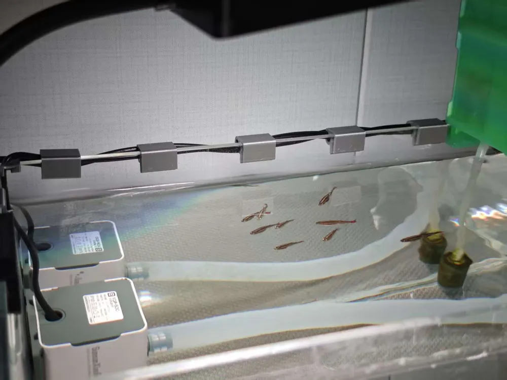 Forma Per Formaggio In Plastica AlcoFermBrew - Diametro 15,2 Cm, Altezza 15 Cm, Per 1 Kg Di Formaggio, Senza BPA, Lavabile In Lavastoviglie - 6