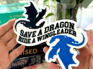 Fourth Wing Bookshelf Decor