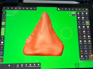 shark tooth