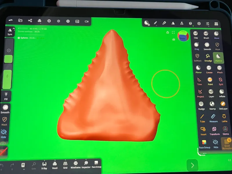 shark tooth