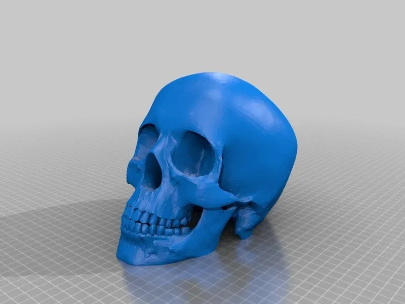 skull