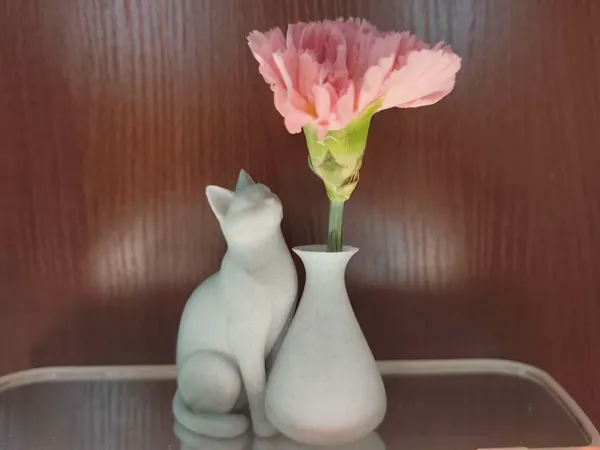 https://makerworld.bblmw.com/makerworld/model/DSM00000001918283/design/2025-10-24_f8c21564f2108.jpg