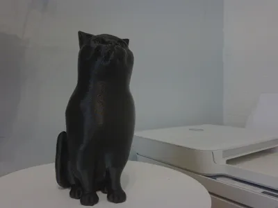 cat4