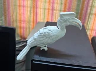 Hornbill