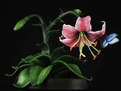 Prism Prints - Butterfly on a Lily