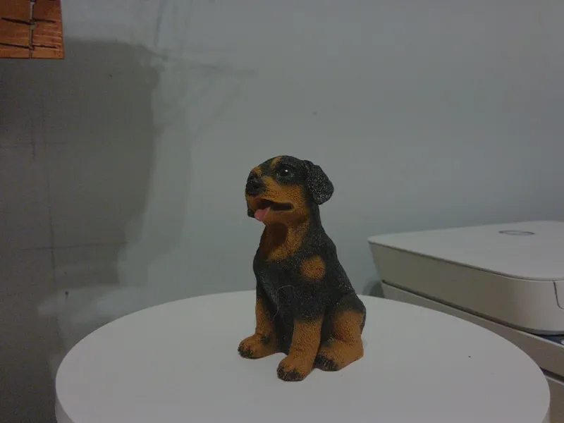rottie1