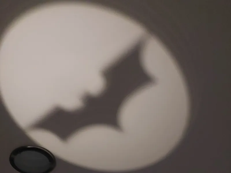 Bat signal light