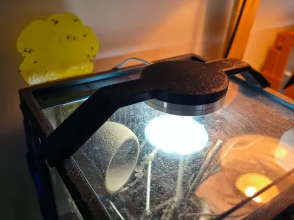 https://makerworld.bblmw.com/makerworld/model/DSM00000001922429/design/2025-10-25_978b3658a17a58.jpg