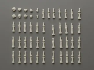 Ossos das mãos