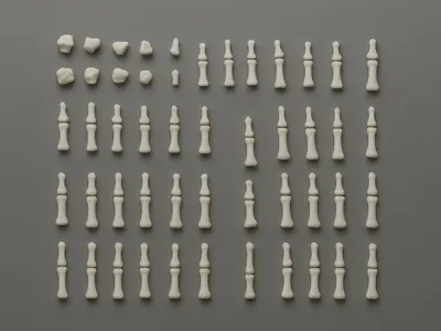 Hand bones