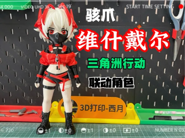 https://makerworld.bblmw.com/makerworld/model/DSM00000001923601/design/2025-10-25_b57b6899e9bff8.jpg