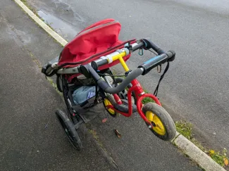 Kids’ Bike Holder for Thule Trailers / Strollers