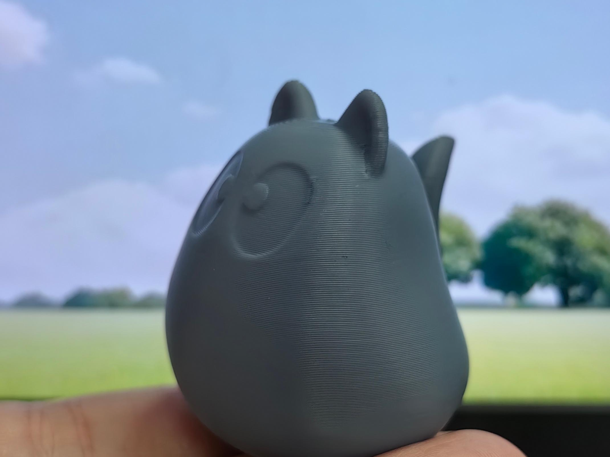 大眼猫猫
