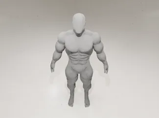 Realistic Human Anatomy Figure
