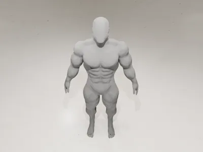 Realistic Human Anatomy Figure