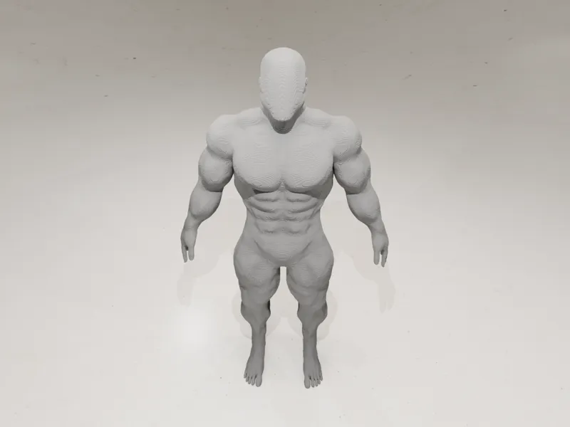 Realistic Human Anatomy Figure